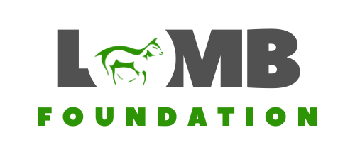 LAMB Foundation